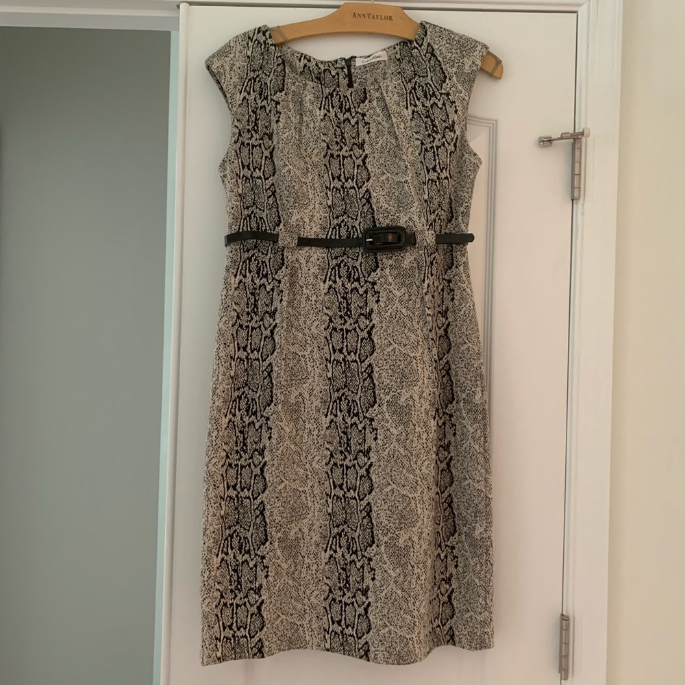 Calvin Kline Fitted Print Dress